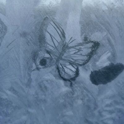 la pluie cessera